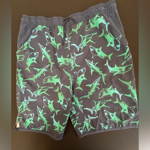 LANDS END BOYS XXL 18-20 SWIM TRUNKS  NAVY BLUE & GREEN.  COLOR DISTORTION - Picture 2 of 9